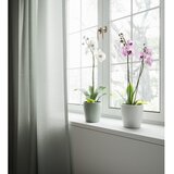 Artevasi Keramičen cvetlični lonec ø 14 cm Thalia – | Shoptok.si