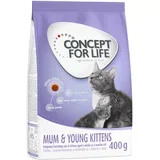 Mum & Young Kittens - 400 g