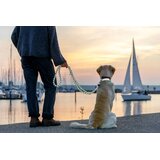 Trixie cavo reflect podesivi povodac za pse, reflektujući ljubičasta s–m 2 m | Eponuda.com
