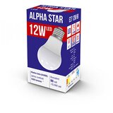 Alpha Star led sijalica, E27 -12W, 220V,Hladno bela, 6400K ( E27 12W hb ) E27 12W hb Cene
