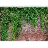  Foto tapeta - Brick and ivy 196x140 | shoptok.hr