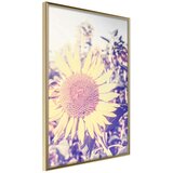  Poster - Facing the Sun 30x45 Cijene