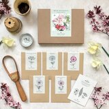Jora Dahl Wild Bouquet "Cosmos Collection" set semen Cene