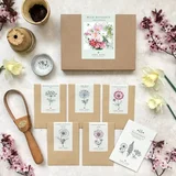 Wild Bouquet "Cosmos Collection" set semen