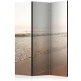  Paravan u 3 dijela - Magnificent Morning [Room Dividers] 135x172 Cijene