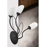 Jupiter 2059 - zidna lampa gloriosa 3xG9/14W/230V crna | Eponuda.com