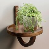 MID.YOU stenski regal Wl6.788 | Shoptok.si