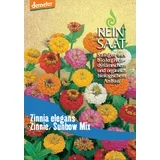 Cinija "Sunbow Mix"