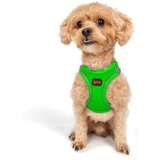 Paws & Whiskers Šape i brkovi Am za pse, zračna mreža, zelena | Eponuda.ba