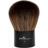 Provida Organics kabuki kist br. 09 Cijene