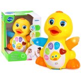 Hola interaktivna glazbena Patka | shoptok.hr