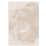 Conceptum Hypnose tepih, 120x180cm, krem | Eponuda.ba