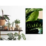  Slika - Dieffenbachia (1 Part) Vertical 80x120 | shoptok.hr