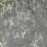 Novel PREVLEKA BLAZINE | Shoptok.si