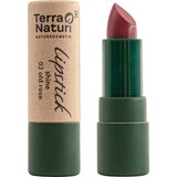Terra Naturi Lipstick Shine - 2 - Old Rose Cene