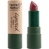 Lipstick Shine - 2 - Old Rose