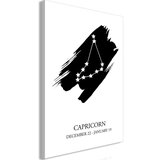  Slika - Zodiac Signs: Capricorn (1 Part) Vertical 60x90 Cijene