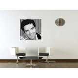  Ručno slikane slike na platnu na platnu POP ART Elvis Presley 1-dijelna () | shoptok.hr