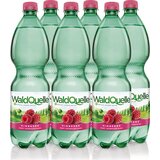 Waldquelle sadna malina 1,0l - 6 kosov | Shoptok.si