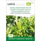 BIO zelišče "rukola, Wild Rocket, Lola' KS" | Shoptok.si