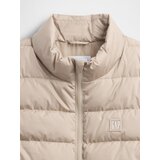 GAP ColdControl Quilted Waterproof Vest - Mens | Shoptok.si