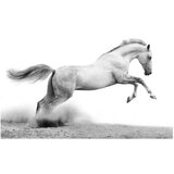  Tapeta - White gallop 200x154 | shoptok.hr