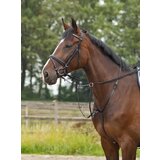 Busse Martingale BASIC-PRO Cene