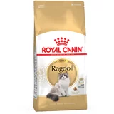 Royal Canin Ragdoll - 10 kg