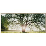 knor Slika 150x60 cm Tree in the Sun – | shoptok.hr