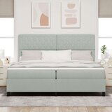 vidaXL Box Spring Krevet s Madracem Svjetlosiva 200x200 cm Baršun | shoptok.hr