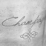  Rashlađivač za pjenušac od punog aluminija 39x29x71 cm srebrni | shoptok.hr