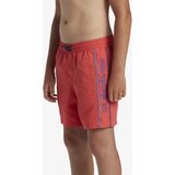 Quiksilver Boys' shorts swimsuit EVERYDAY VERT VOLLEY | shoptok.hr