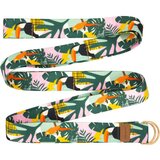 Spokey Home Jungle raztezni trak | Shoptok.si