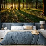 Foto tapeta - Mystical Morning 400x280 Standard | shoptok.hr