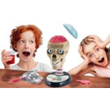 Scientific Fun Crazy Anatomy Kit Clementoni 50697 | shoptok.hr