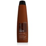 Lakmé K.Therapy Bio Argan Hydrating Shampoo 300 ml šampon svi tipovi kose unisex | shoptok.hr