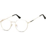 Berkeley naočare za kompjuter 901F | ePonuda.com