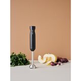 Rig-Tig Crni štapni plastičan mikser Foodie – | shoptok.hr