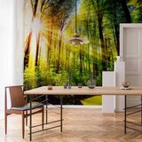  Foto tapeta - Forest Hideout 147x105 | shoptok.hr