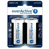 EverActive Alkaline batteries Pro Alkaline LR20 D - blister card 2 pieces | shoptok.hr