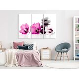  Slika - Calm Mallow (3 Parts) Pink 90x60 | shoptok.hr
