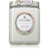 VOLUSPA Maison Blanc Wildflowers dišeča sveča 510 g | Shoptok.si