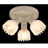 Globo REFLEKTOR PLANTA 34/12,5 cm | Shoptok.si