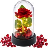 Eternal Rose in Dome with LED Lighting Red with Rose Petals 14x8cm | Shoptok.si