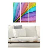 Wallity MDF112306427 multicolor decorative mdf painting (3 pieces) Cene