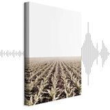  Slika - Corn Field (1 Part) Vertical 80x120 Akustična | shoptok.hr