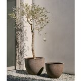 Kave Home Betonski okrasni cvetlični lonci v kompletu 2 ks ø 50 cm Serili – | Shoptok.si