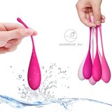 Feelztoys komplet za vježbanje mišića dna zdjelice - FemmeFit, 6 kom | shoptok.hr