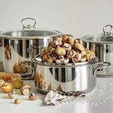 Metalac šerpa plitka sa staklenim poklopcem 20cm 1 | ePonuda.com