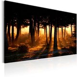  Slika - Forest Dawn 90x60 | shoptok.hr